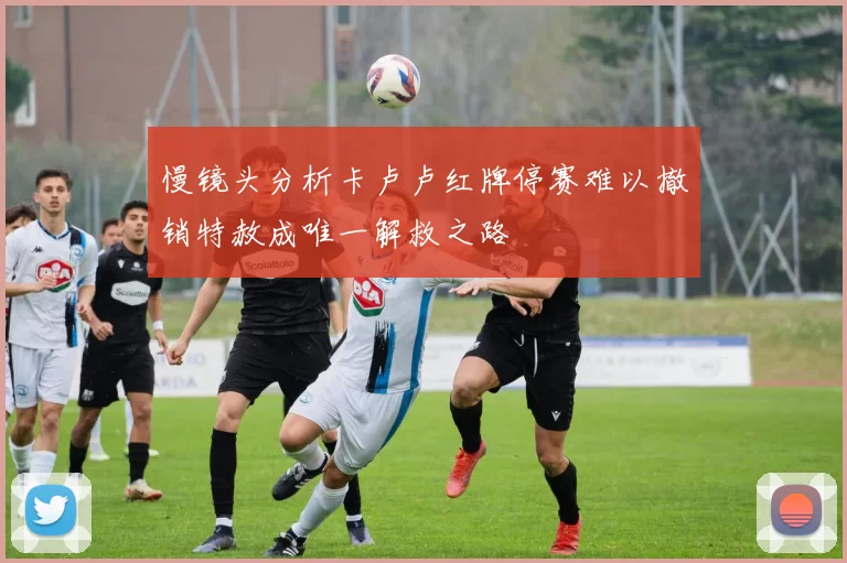 慢镜头分析卡卢卢红牌停赛难以撤销特赦成唯一解救之路